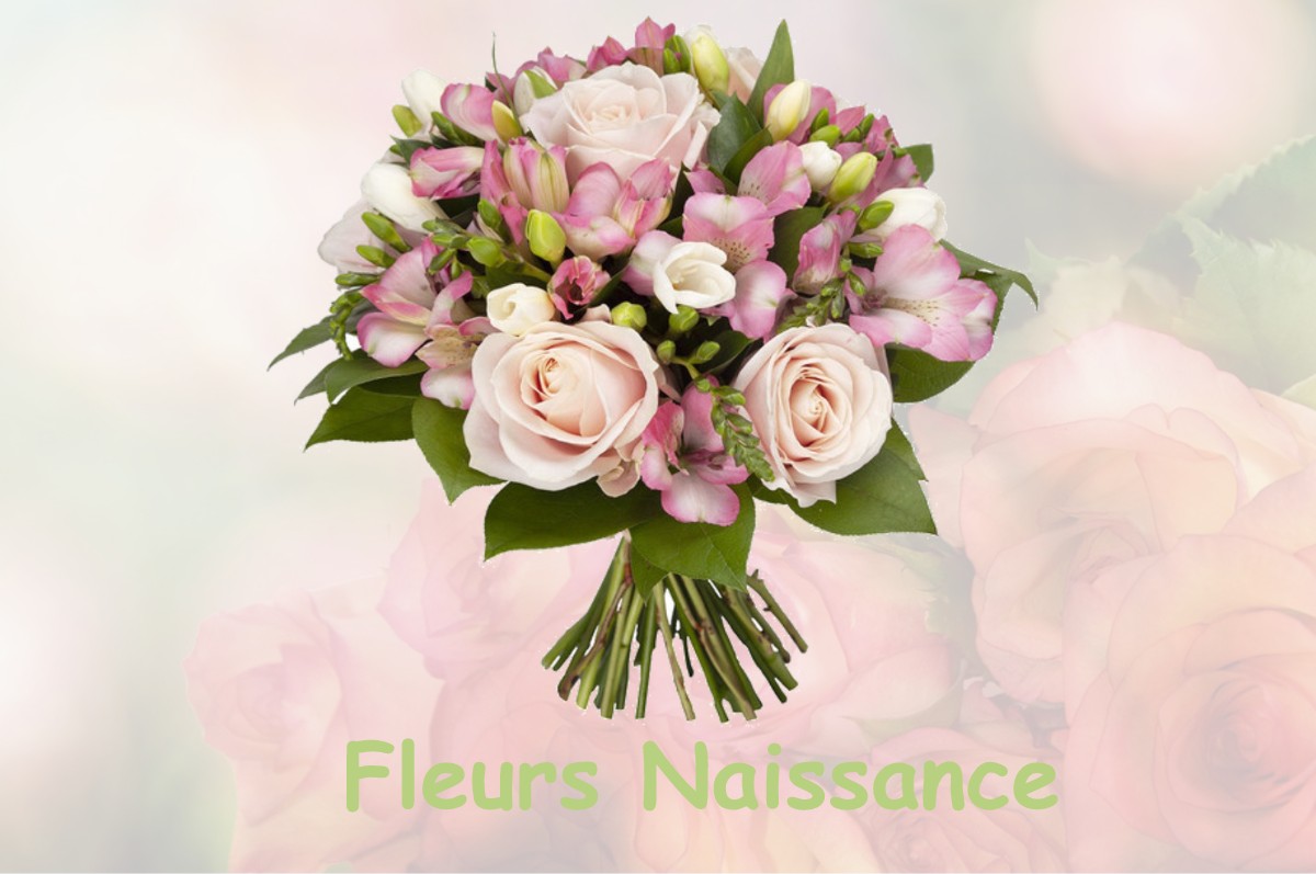 fleurs naissance SAINT-CLEMENT-RANCOUDRAY